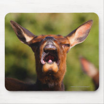 Elk Mousemats