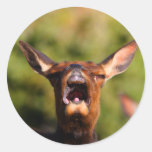 elk round sticker