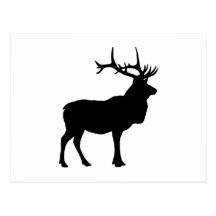 Elk Silhouette Post Card