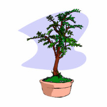Elm Like Bonsai Tree Pink Pot Cut Out