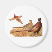 Elusive Pheasant Bird Hunting Fridge Magnets