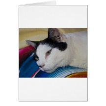 Elvis Card
