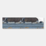 Embrey Dam Breach Bumper Sticker