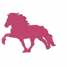 Embroidery  Icelandic ~ Pink Embroidered Hooded Sweatshirt