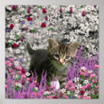 Emma in Flowers I – Little Grey Kitty Cat Print