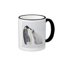 Emperor penguin (Aptenodytes forsteri), chick Mug