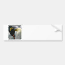Emperor Penguin Bumper Sticker