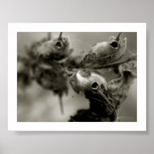 empires fall, sometimes print