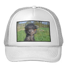 Emu Bird Baseball Hat