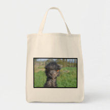 Emu Bird Grocery Tote Bag