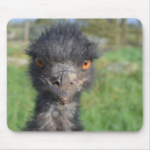 Emu Bird Mouse Pad