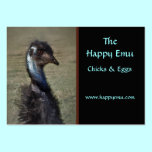 Emu Farm Business Card business cards