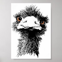 Emu Print