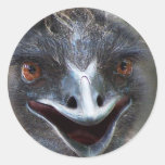 Emu saying HI! Open beak big brown eyes picture Sticker