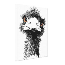 Emu Stretched Canvas Prints