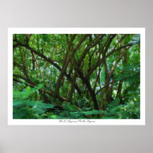 En La Laguna/In The Lagoon Print