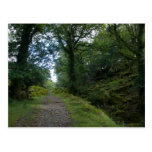 Enchanted Forest Postcards