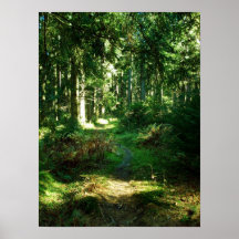 enchanted forest posters