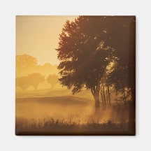 Enchanted Morning Fridge Magnets
