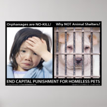 End Capital Punishment for Homeless Animals Poster