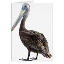 Endangered Brown Pellican (protected species) Greeting Card