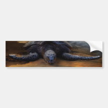 Endangered Sea Turtle Bumper Sticker