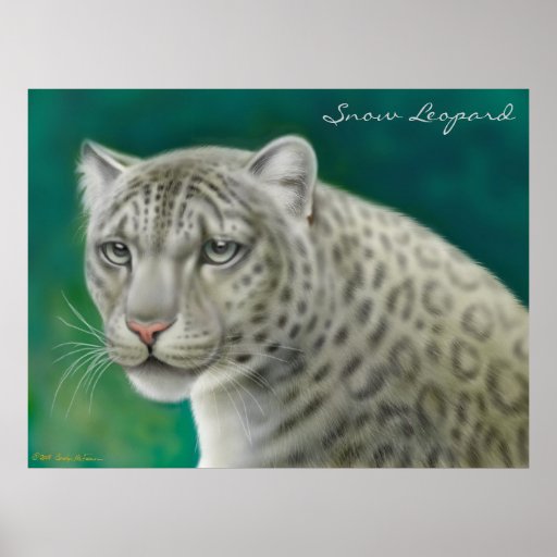 Endangered Snow Leopard Print
