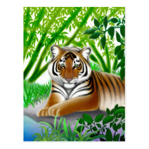 Endangered Sumatran Tiger Postcard