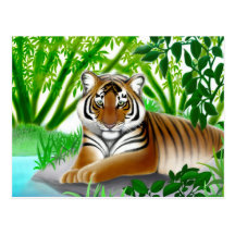 Endangered Sumatran Tiger Postcard