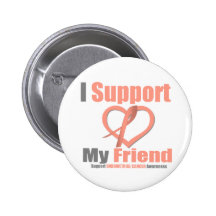 Endometrial Cancer I Support My Friend Pinback Buttons