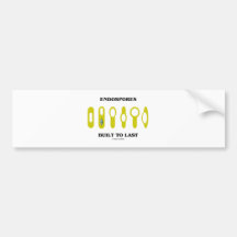 Endospores Built To Last (Bacterial Attitude) Bumper Sticker
