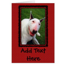 English Bull Terrier Card