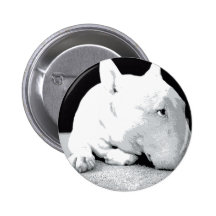 English Bull Terrier, Pop Art Print Pin