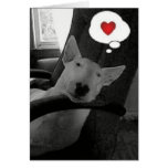english bull terrier valentine greeting cards
