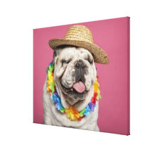 English Bulldog (18 months old) wearing a straw Canvas Print