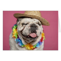 English Bulldog (18 months old) wearing a straw Greeting Card
