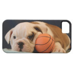 English Bulldog Basketball Puppy iPhone 5 Cover