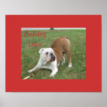 English Bulldog Poster