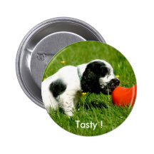 English Cocker Spaniel Puppy with Red Clog Pins