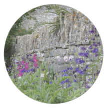 English Garden Plates