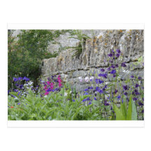 English Garden Postcard