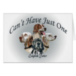 English Setter Can't Have Just One Cards