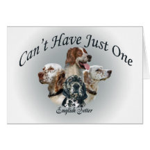 English Setter Can't Have Just One Cards