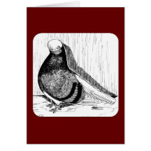 English Shortfaced Bald 1978 Card