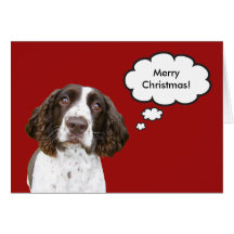English Springer Spaniel Christmas Card