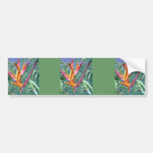 Enhanced Hawaiian Heliconia Flower Bumper Sticker