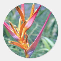 Enhanced Hawaiian Heliconia Flower Sticker