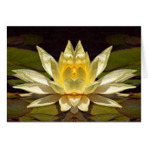 Enhanced Lotus1 Card