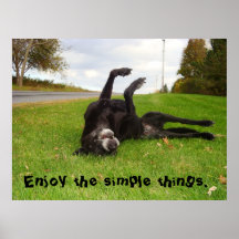 Enjoy the Simple Things poster