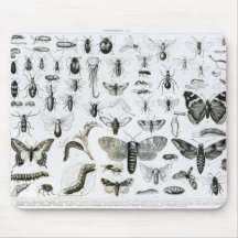 Entomology Mouse Pads